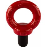 Riggatec piton forte résistance m12, rouge 2, 0 t - anneaux de levage, écrous de levage et maillons de ... Riggatec piton forte résistance m12, rouge 2, 0 t - anneaux de levage, écrous de levage et maillons de ...