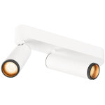 Slv grip! m, plafonnier, double, phase, 2700 k, 28 w, 42, blanc / noir - lampes murales et de plafond ...