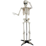 Squelette d'halloween europalms, debout, 150 cm - d�coration halloween