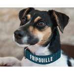 Collier pour chien personnalisable - papattes