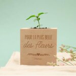Ecocube personnalis� - pr�nom - cadeaux. com