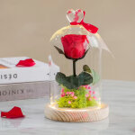 Rose ternelle sous cloche lumineuse