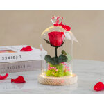 Rose ternelle sous cloche lumineuse avec carte personnalise