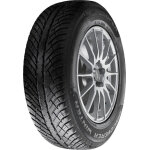 Cooper discoverer winter ( 205 / 55 r17 95v xl )