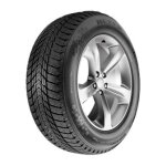 Nexen winguard ice plus ( 195 / 55 r15 89t xl 4pr, pneus nordiques )