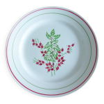 1 assiette plate rouge et verte 221238