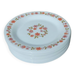 10 assiettes  dessert, vintage, scania