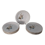 12 assiettes creuses digoin sarreguemines