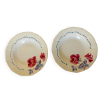2 assiettes creuses vintage de la manufacture de digoin sarreguemines modèle 2 assiettes creuses vintage de la manufacture de digoin sarreguemines modèle