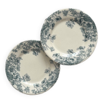 2 assiettes  dessert terre de fer  anmones  gien