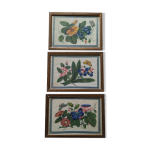 3 peintures sur feuille de riz anciennes chine 3 peintures sur feuille de riz anciennes chine