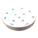 5 assiettes creuses anciennes porcelaine p. n france