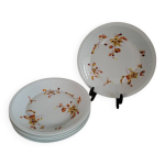 5 assiettes � creuses en porcelaine haviland france limoges