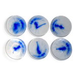 6 assiettes bleu cobalt bormioli rocco