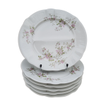 6 assiettes  compartiments en porcelaine pillivuyt