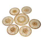 6 assiettes  coquillages huitres et plat de service porcelaine chantilly