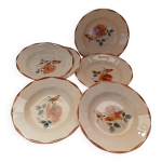 6 assiettes creuses anciennes digoin et sarreguemines
