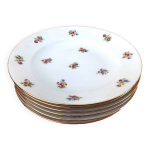 6 assiettes creuses anciennes porcelaine p. n france