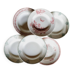 6 assiettes creuses dpareilles terre de fer lot 7