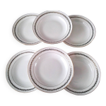 6 assiettes creuses en porcelaine de chartres sur cher pate de limoges
