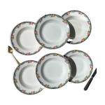 6 assiettes creuses en porcelaine opaque digoin motif fleuris  3984