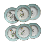 6 assiettes creuses porcelaine vintage blanche verte iris moulin des loups  sargosse  1950s