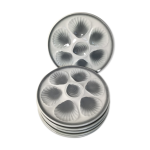 6 assiettes à huîtres moulin des loups blanc et gris 6 assiettes à huîtres moulin des loups blanc et gris