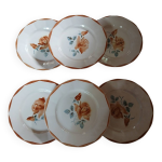 6 assiettes plates anciennes digoin et sarreguemines