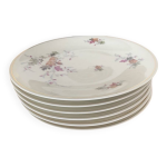 6 assiettes plates porcelaines de limoges