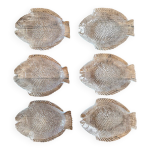 6 assiettes  poisson vintage en verre transparent pasabahce