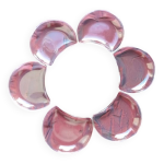 6 coupelles a dessert lalique