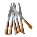 6 couteaux vintages cornes argent lame acier lepine a lyon france xixme