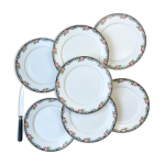 7 assiettes plates en porcelaine opaque digoin motif fleuris 3984