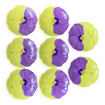 8 assiettes  dessert artisanales, modle penses