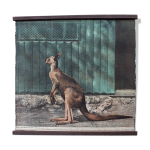 Affiche murale  kangourou  1917