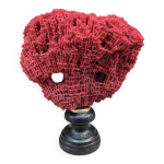 Ancien corail rouge orgue tubipora musica sur socle en bois fin xixe