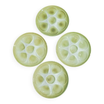 Assiettes en barbotine fruits de mer