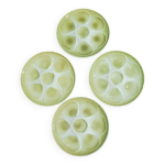 Assiettes barbotines pour fruits de mer