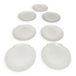 Assiettes coquillages