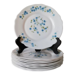 Assiette  dessert myosotis