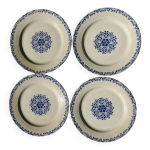 Assiettes en terre de fer