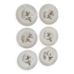 Assiettes villeroy