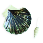 Beurrier coquillage st cl�ment et son couteau