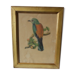 Cadre oiseau