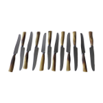 Coffret de 12 couteaux en corne