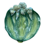 Coupe barbotine feuille de choux