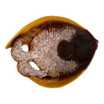 Coupe vide poche zoomorphe poisson en barbotine, vallauris