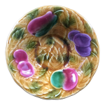 Coupelle barbotine sarreguemines