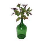 Dame jeanne en verre vert émeraude Dame jeanne en verre vert émeraude