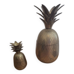 Duo seaux ananas
